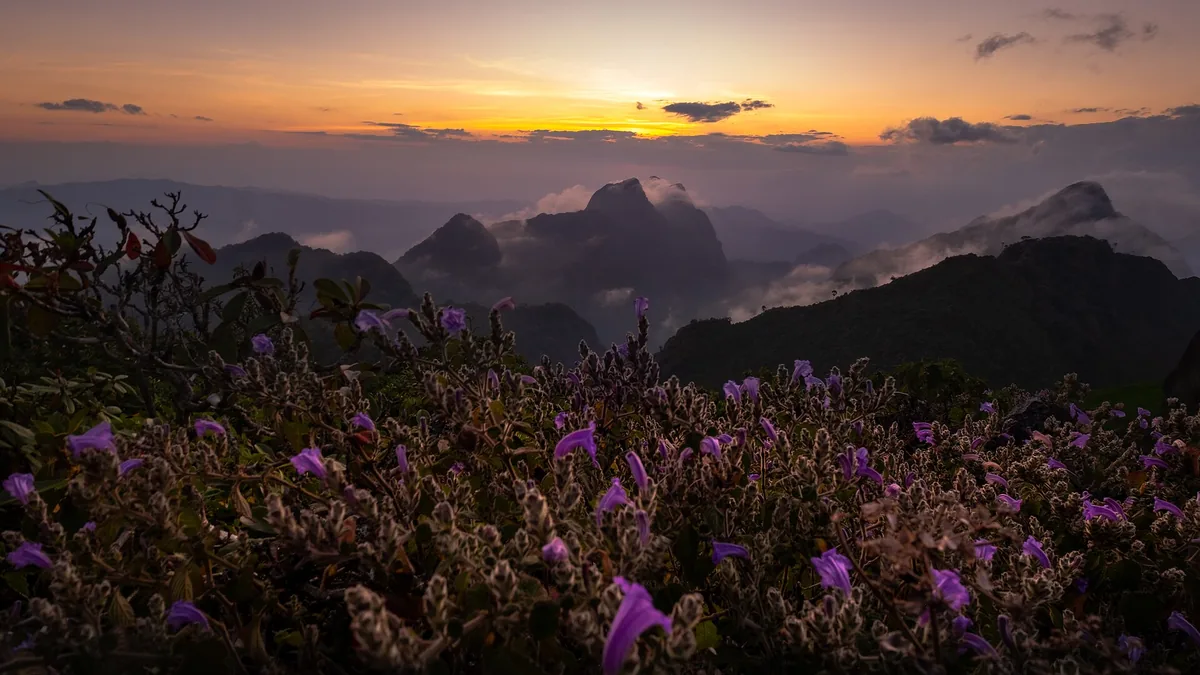 Doi Luang Chiang Dao 4