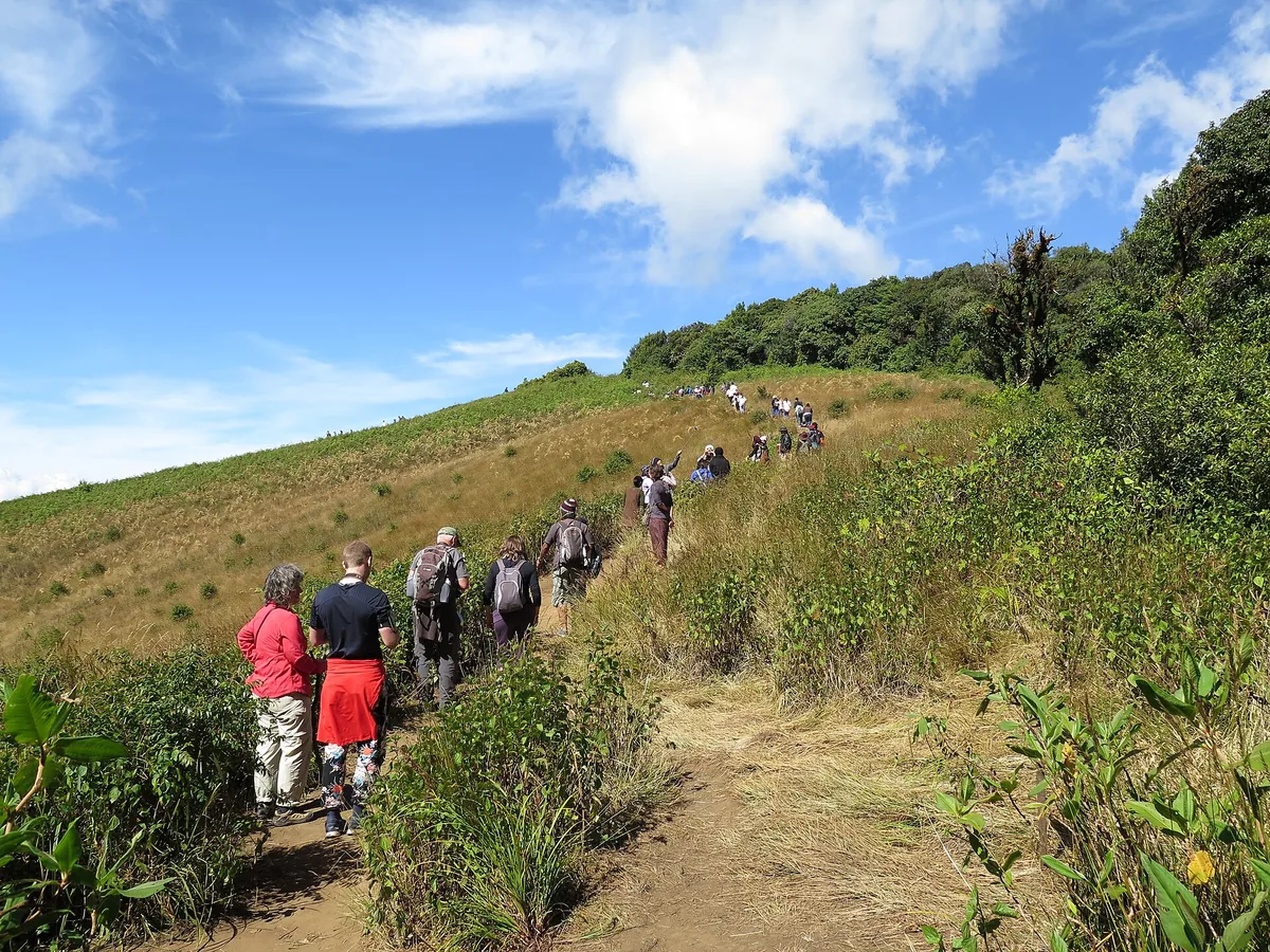 Kew Mae Pan Nature Trail 2