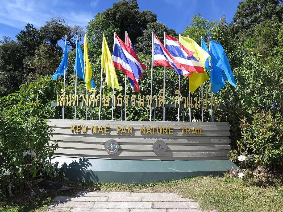 Kew Mae Pan Nature Trail 3