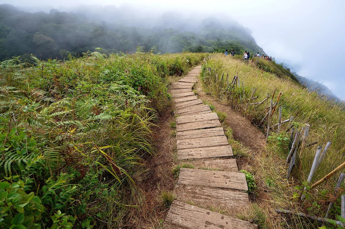 Kew Mae Pan Nature Trail 4