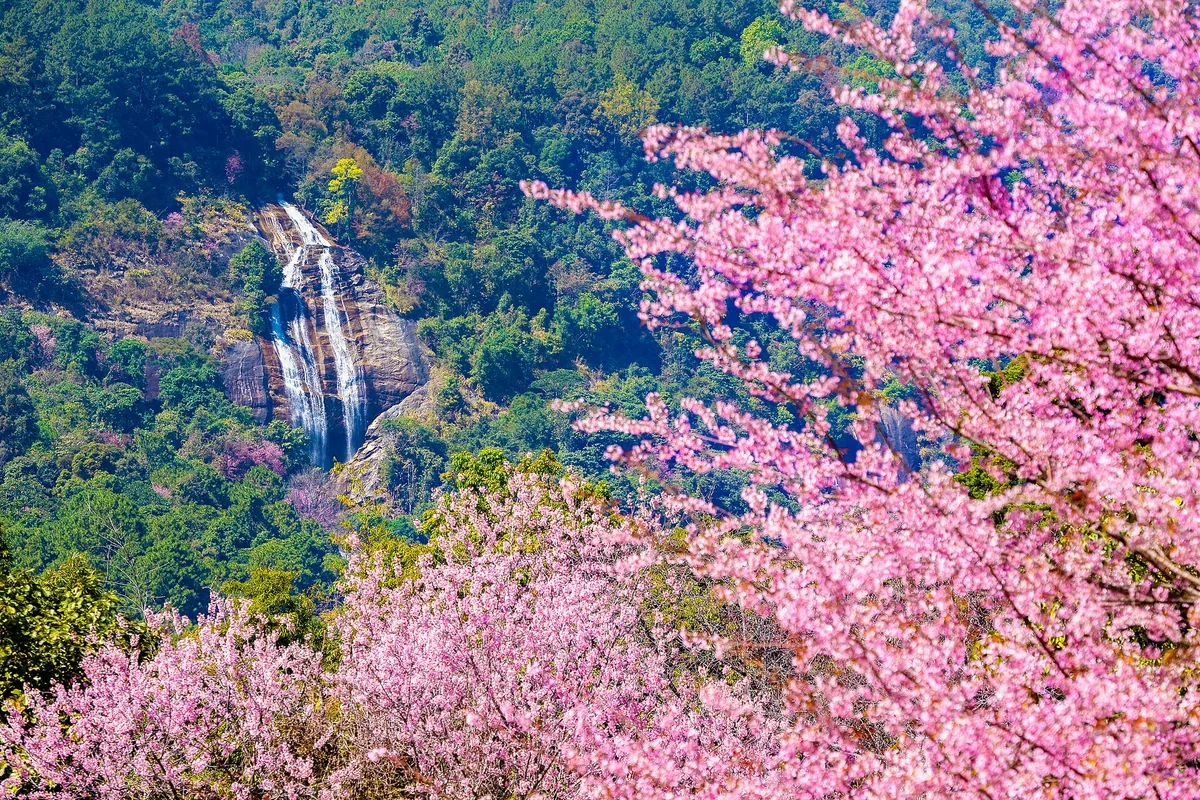 Siriphum Waterfall 2